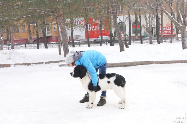 Фотография № 171080