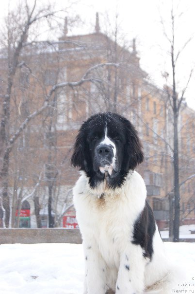 Фотография № 171082