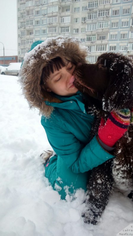 Фото: ньюфаундленд Черный Шарм Дензел Вашингтон