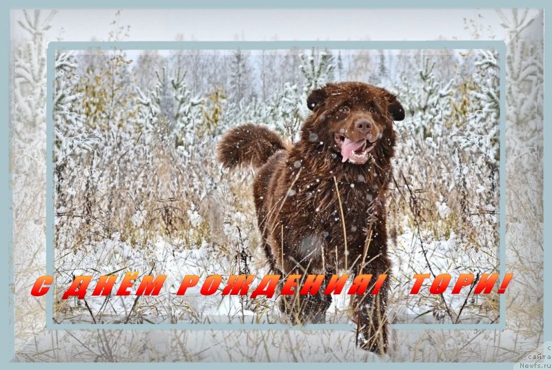 Фотография № 171134