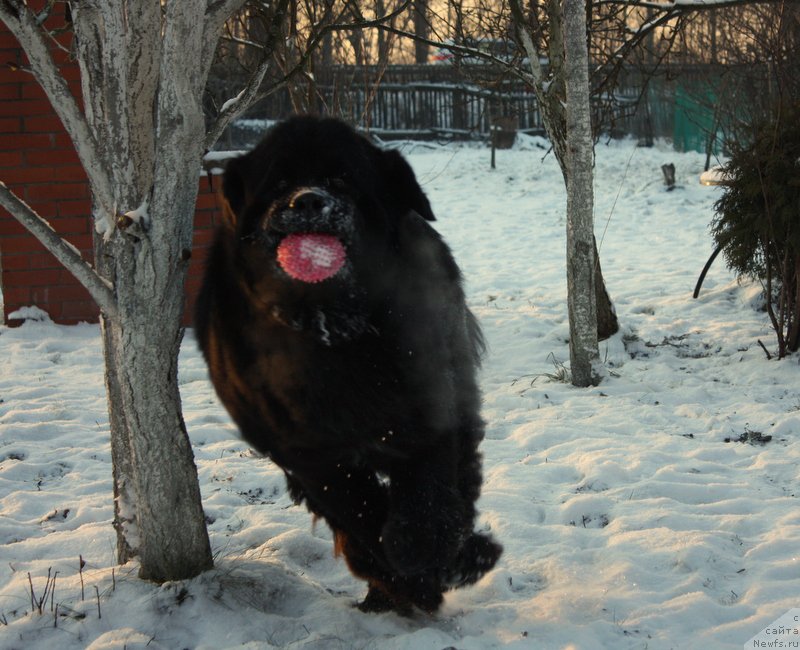 Фотография № 171137