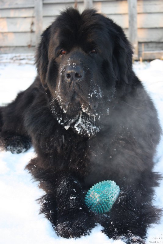 Фотография № 171138