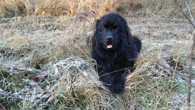 Фотография № 171152