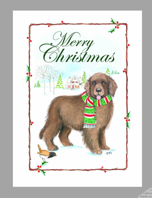 Фотография № 171165