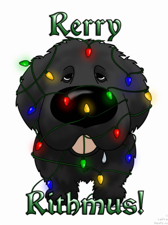 Фотография № 171169