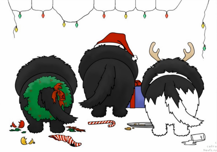 Фотография № 171171