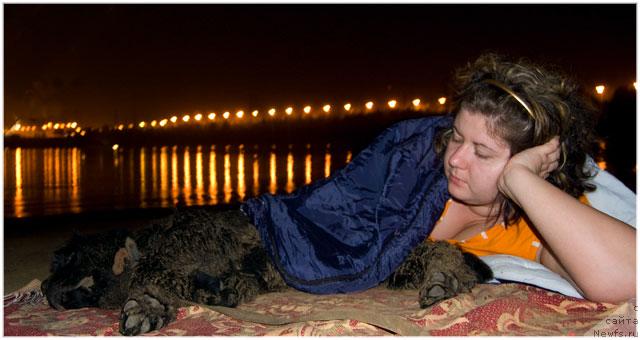 Фото: Алена, ньюфаундленд Супер Премиум Вашингтон