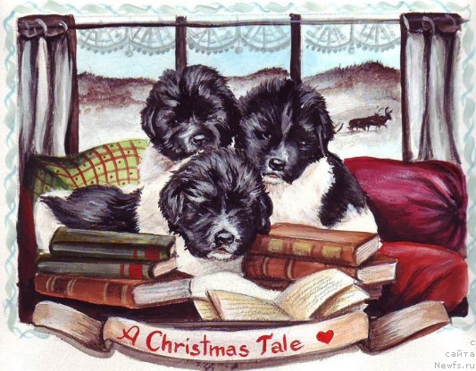 Фотография № 171198