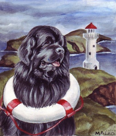 Фотография № 171200