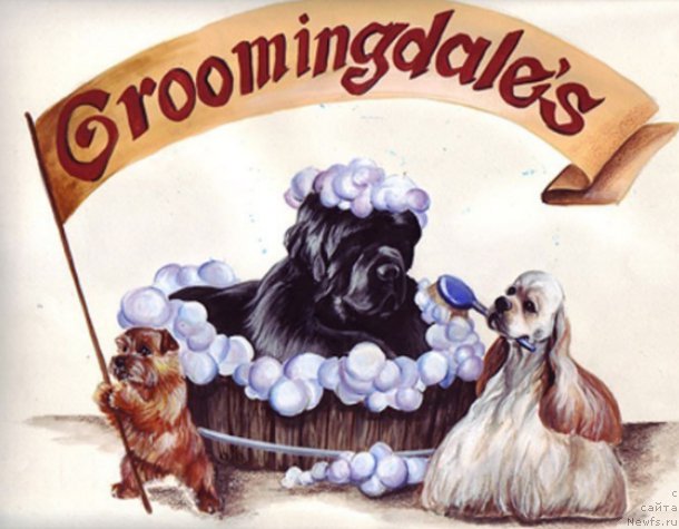 Фотография № 171203