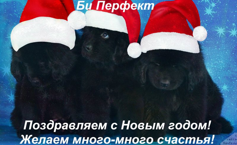 Фотография № 171223