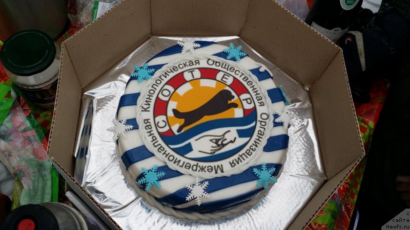 Фотография № 171229