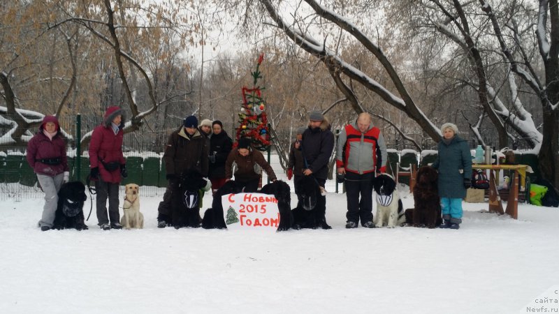 Фотография № 171230