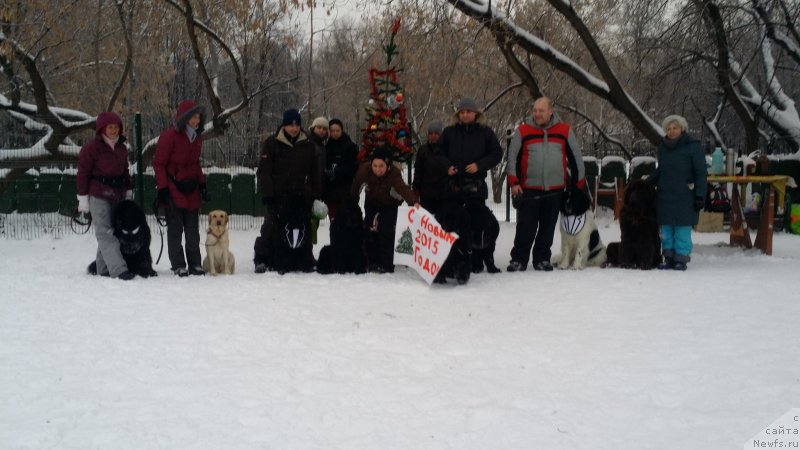 Фотография № 171231