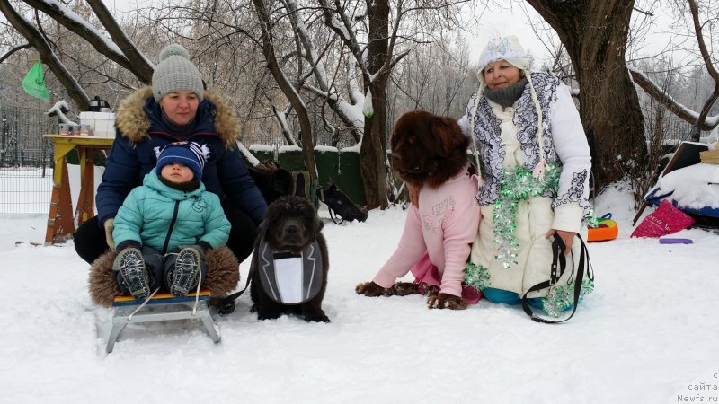 Фотография № 171235