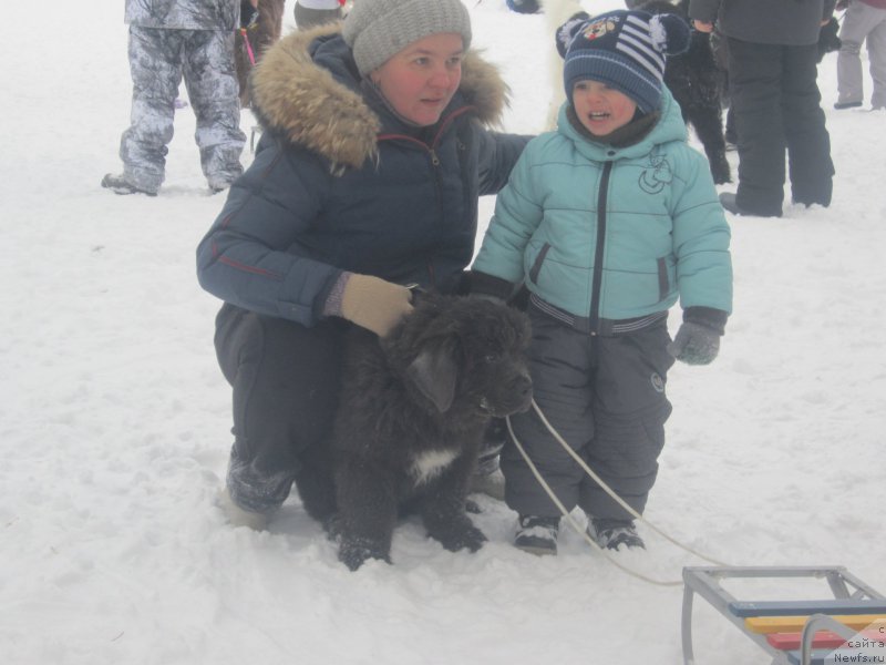 Фото: Наталья Смазчикова