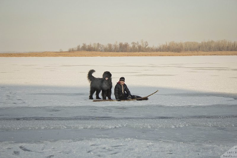 Фотография № 171258