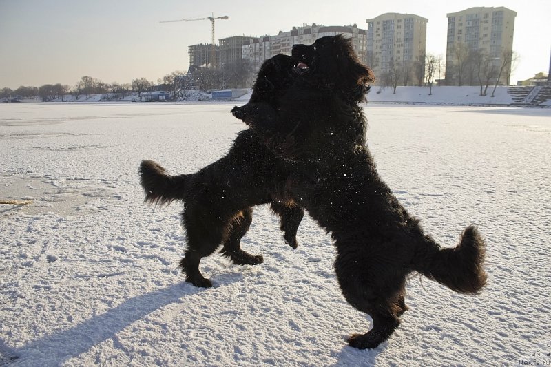 Фотография № 171260