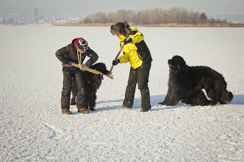 Фотография № 171261