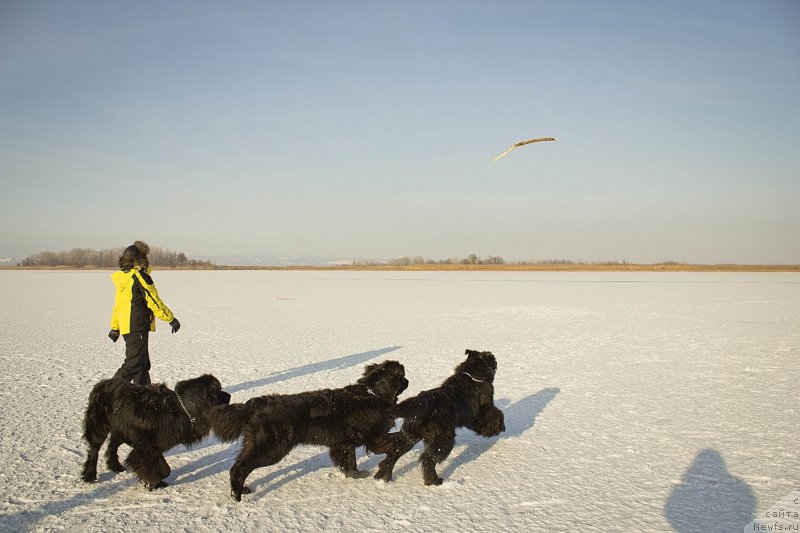 Фотография № 171262