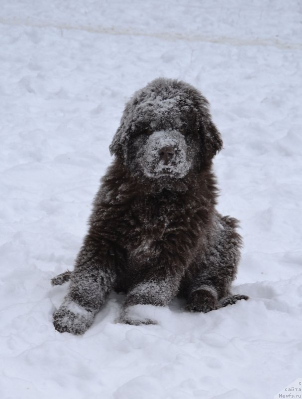 Фотография № 171269