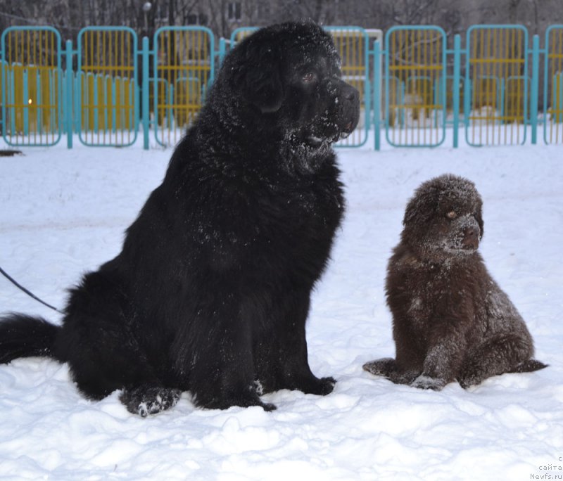 Фотография № 171270