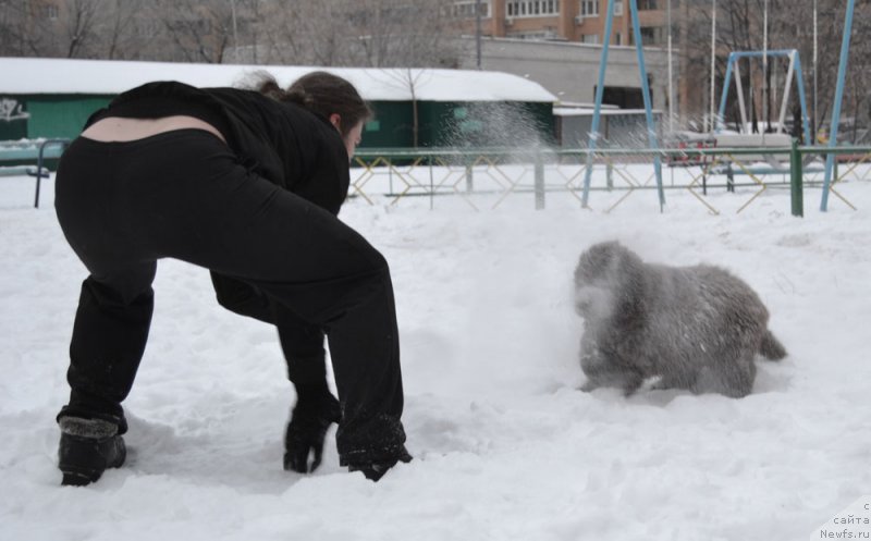 Фотография № 171271