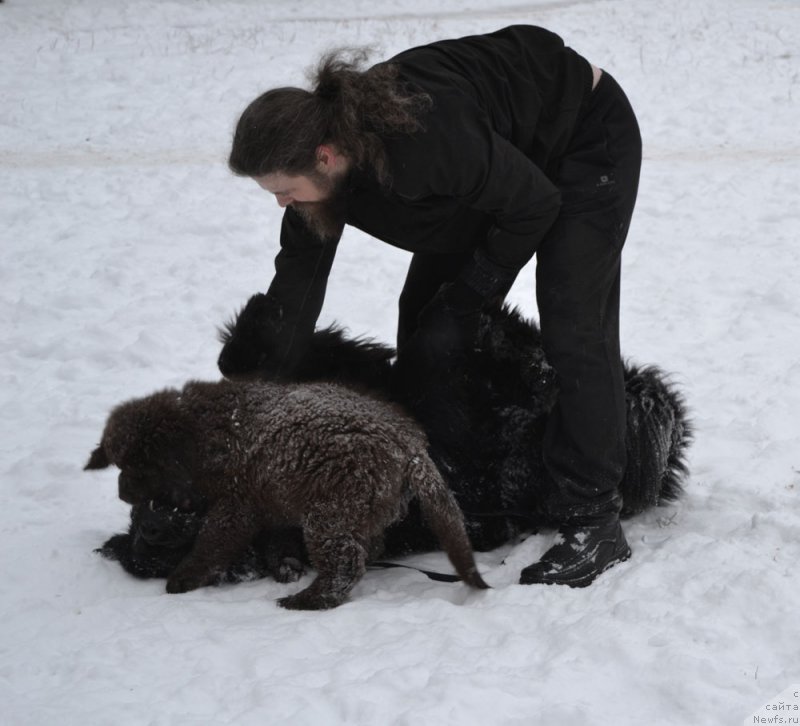 Фотография № 171272