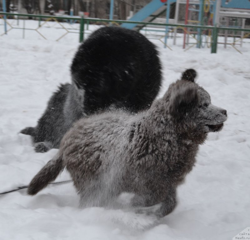 Фотография № 171273