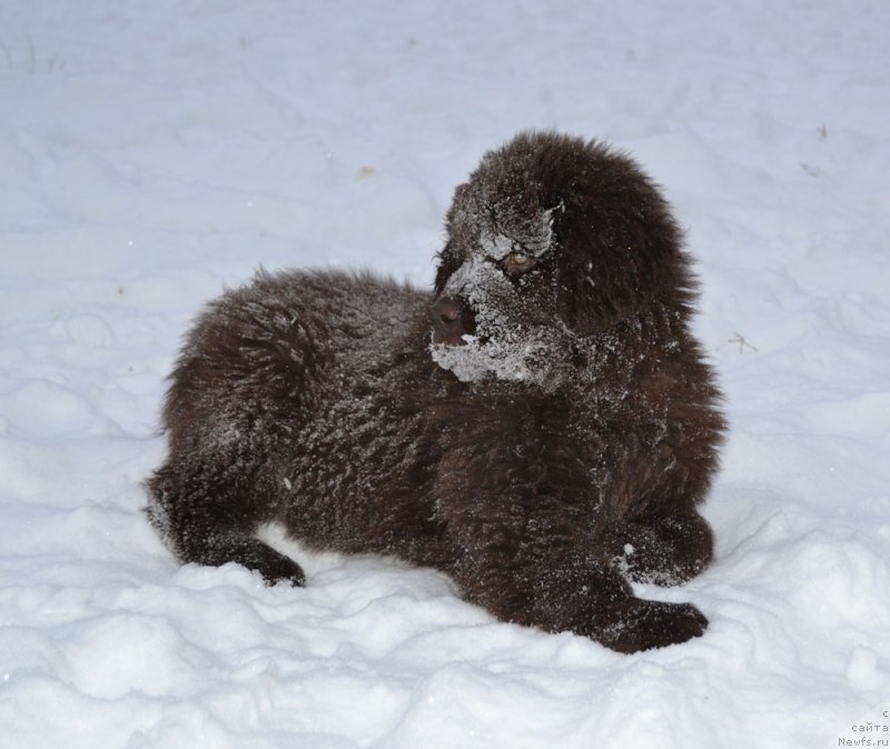 Фотография № 171274