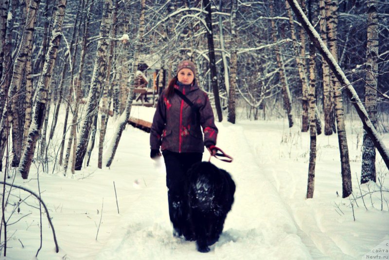Фото: ньюфаундленд Черный Чанк с Берега Дона (Chernyj Chank s Berega Dona), Ирина Складнова