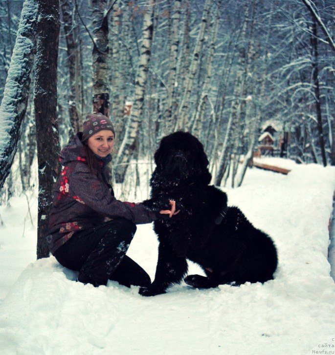 Фотография № 171285