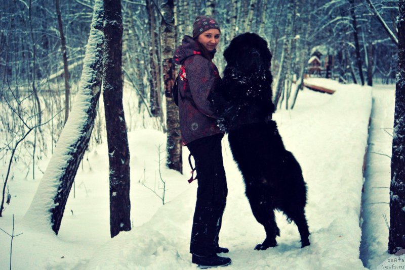 Фотография № 171288