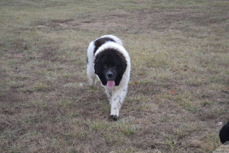 Фотография № 171301