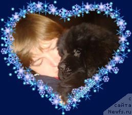 Фото: Юлия Бурлак, Ньюфорт Атлантида