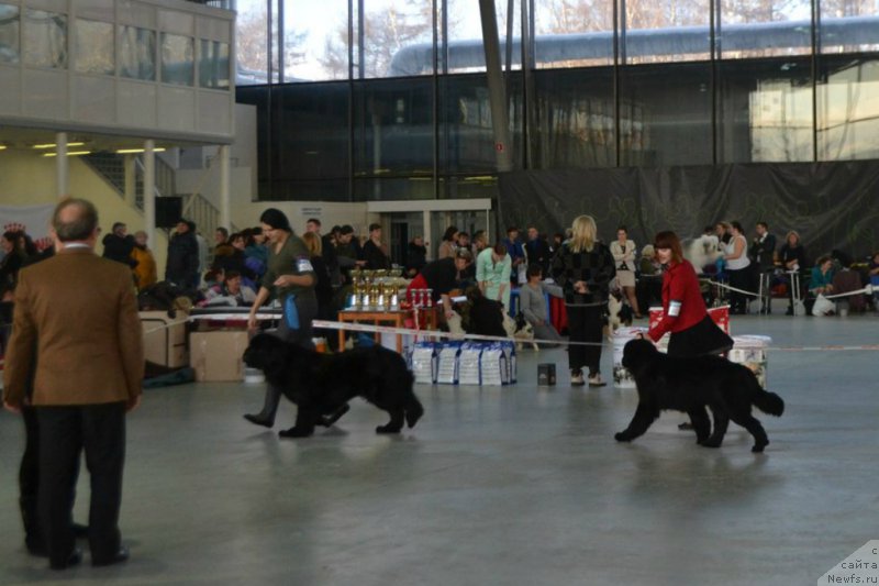 Фотография № 171337