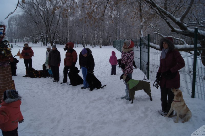 Фотография № 171368