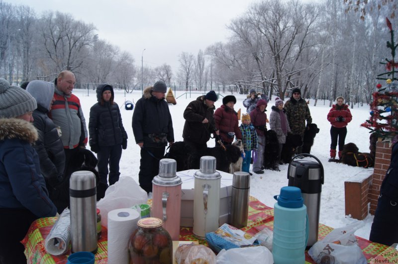 Фотография № 171369