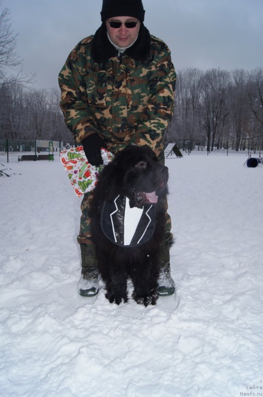 Фотография № 171372