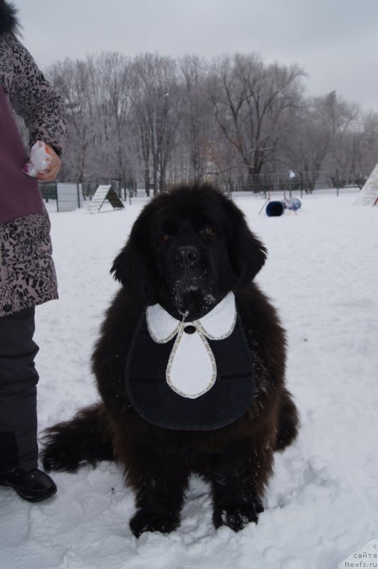 Фотография № 171373