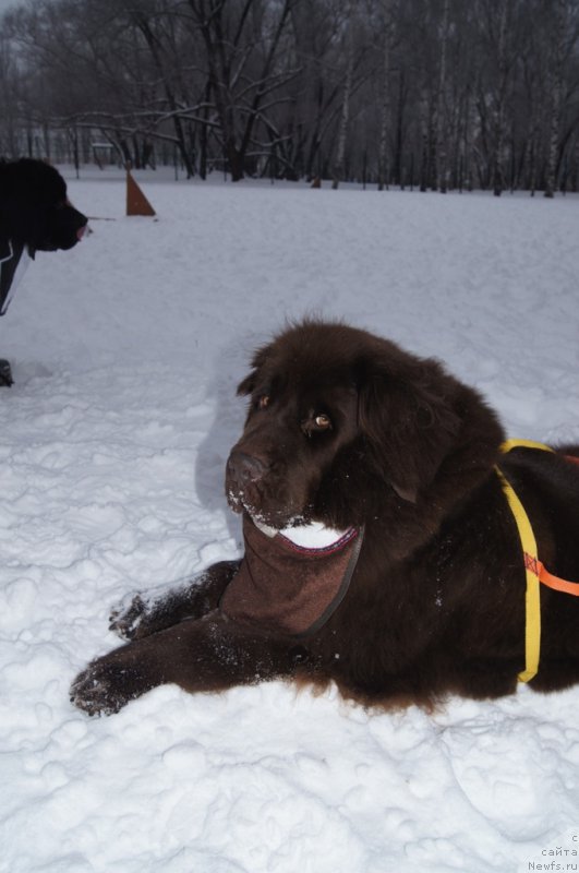 Фотография № 171374