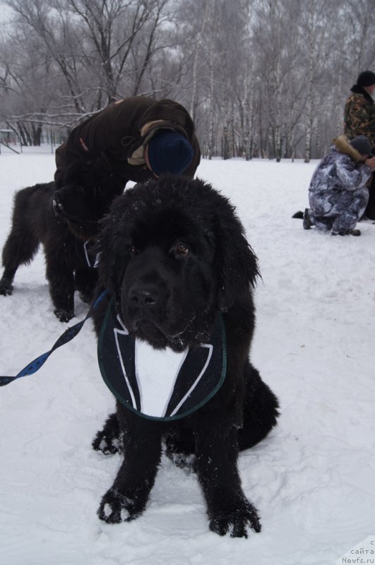 Фотография № 171375