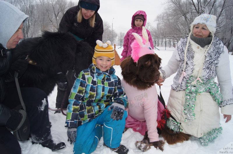 Фотография № 171383