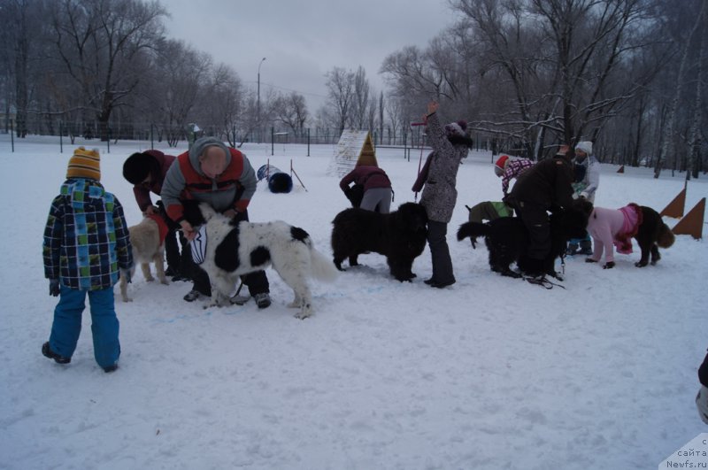 Фотография № 171385