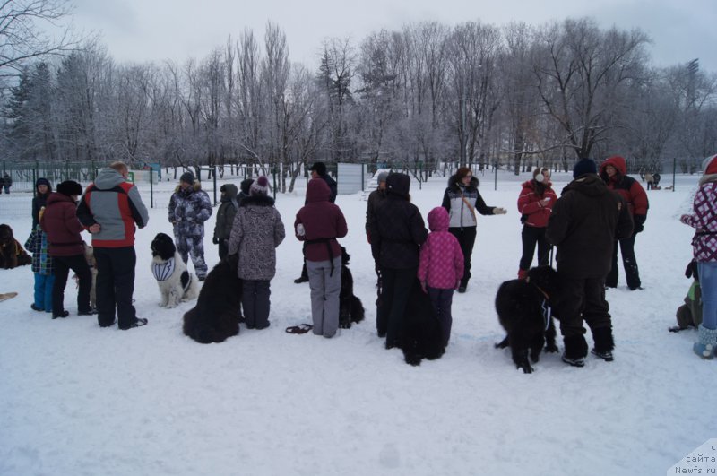 Фотография № 171386