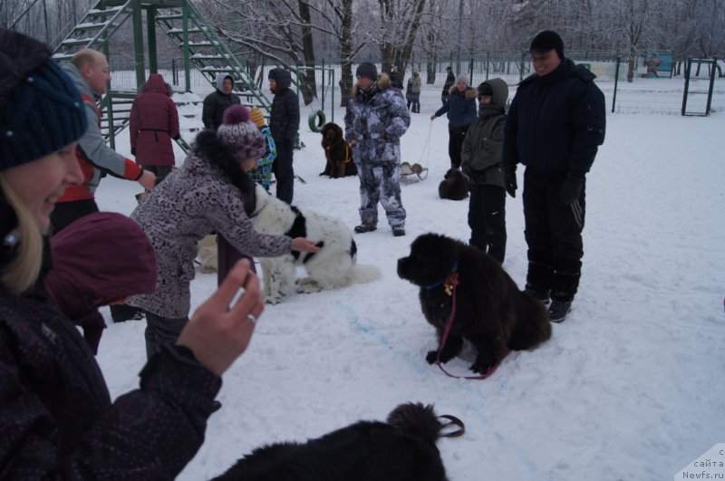 Фотография № 171387