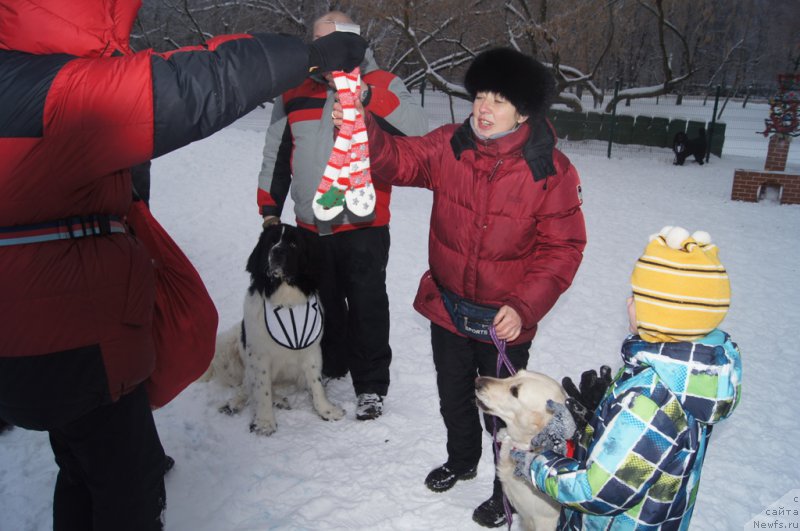 Фотография № 171388