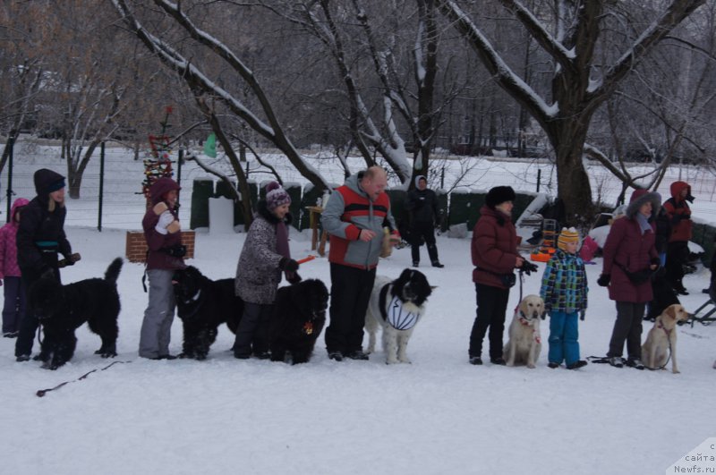 Фотография № 171390