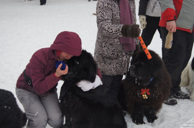 Фотография № 171391