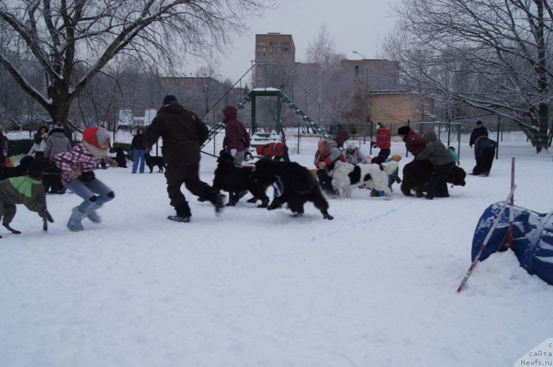 Фотография № 171392